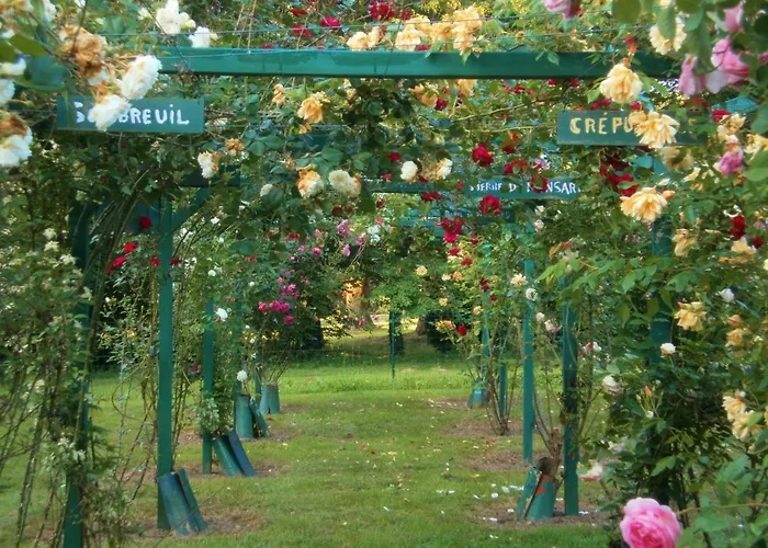 La Venise Au Chateau De Saint-andre Frühstückspension Mareuil-sur-Lay